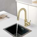 gold-bar-faucet-with-sprayer-single-hole-6.jpg