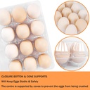 50-pack-12-count-plastic-egg-cartons---b-4.jpg