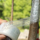6-pcs-plant-tapeparafilm-grafting-tape-f-4.jpg