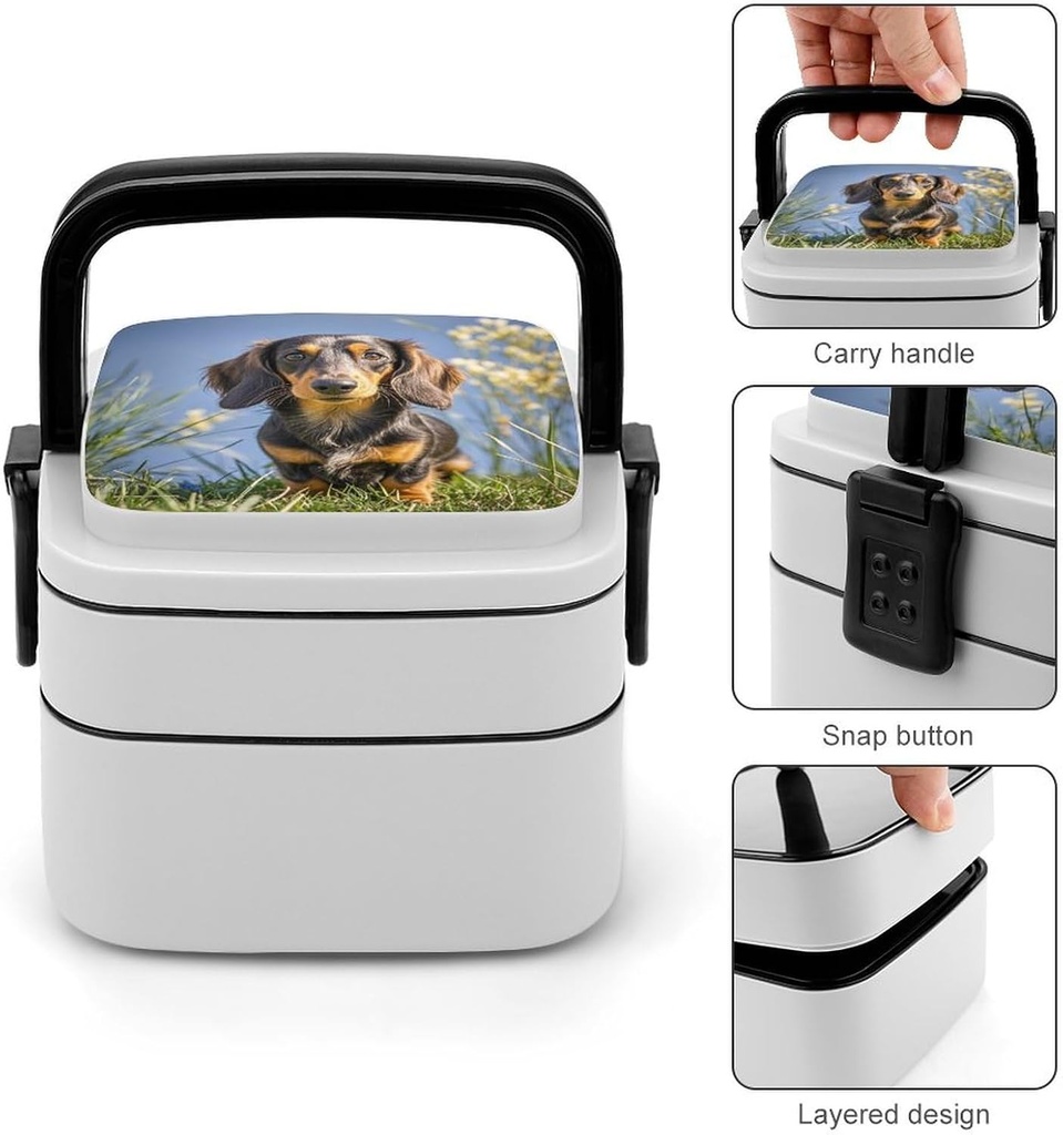 pad-dachshund-bento-box-double-layer-ben-4.jpg