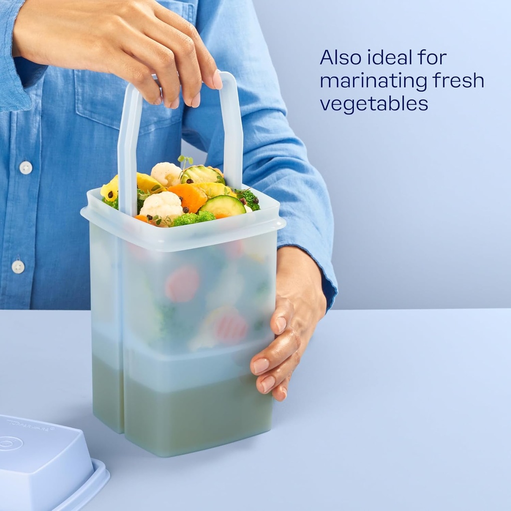 tupperware-pick-a-deli-food-storage-cont-5.jpg