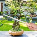 hand-held-pruning-saw-bonsai-saw-and-tre-3.jpg