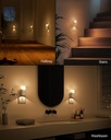 lyridz-led-plug-in-night-light-with-360--6.jpg