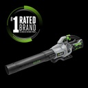 ego-power-leaf-blower-cordless-electric--2.jpg