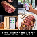 meater-pro-duo-wireless-smart-meat-therm-3.jpg