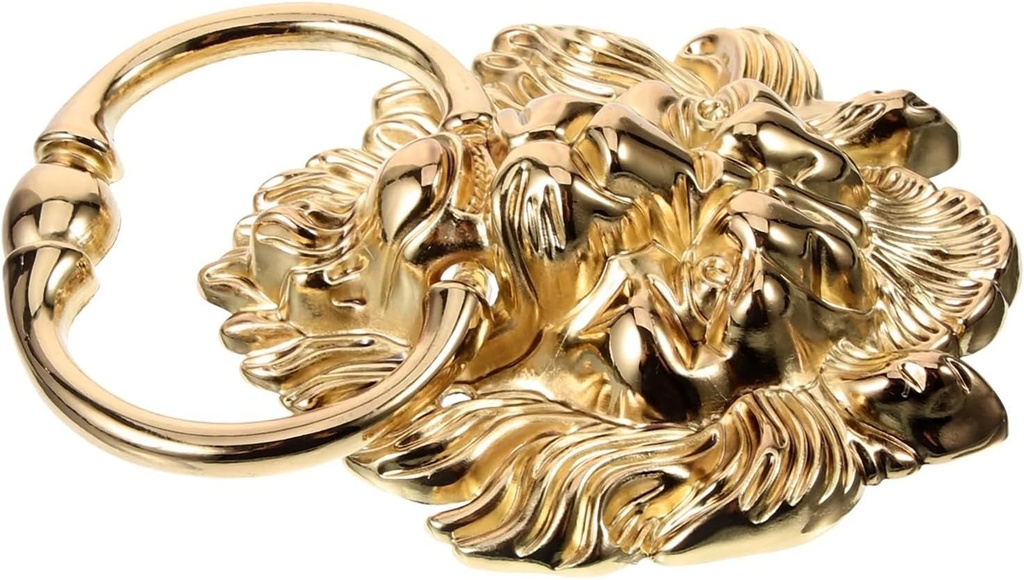 door-knocker-front-door-knockers-lion-he-6.jpg