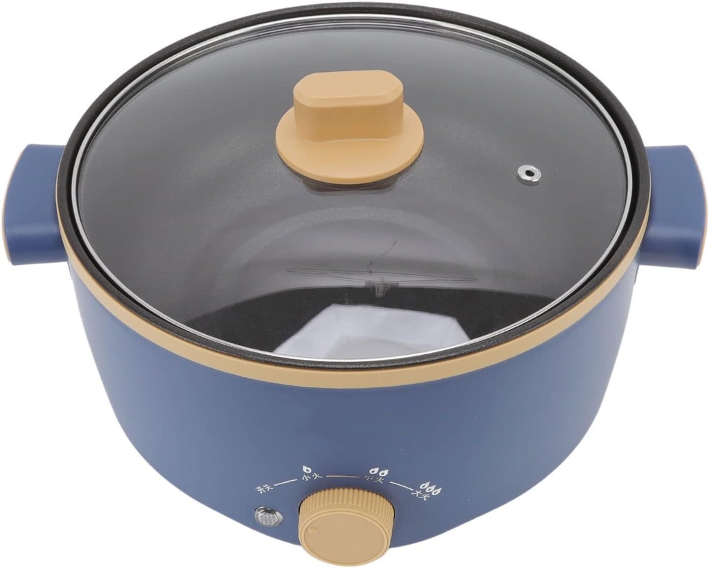 electric-hot-pot-electric-cooker-25l-800-4.jpg