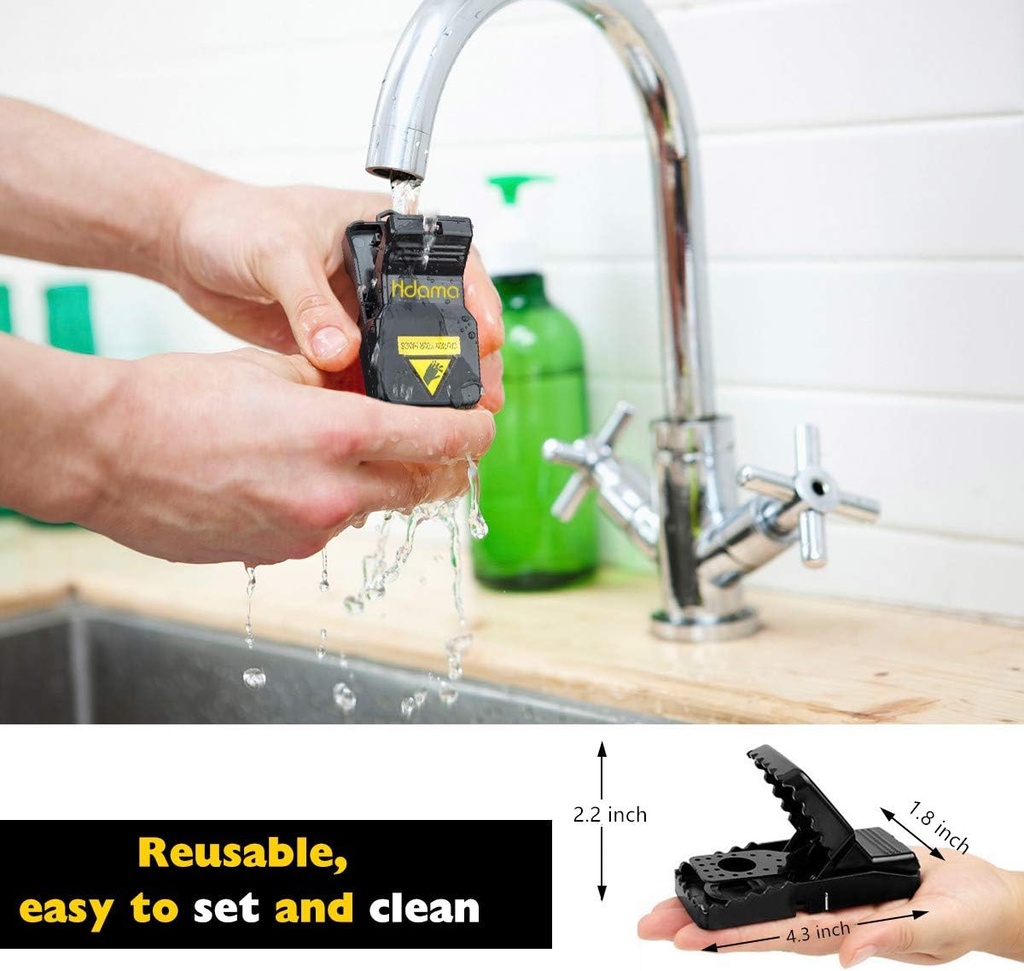 hdama-mouse-trap-mouse-traps-that-work-s-4.jpg