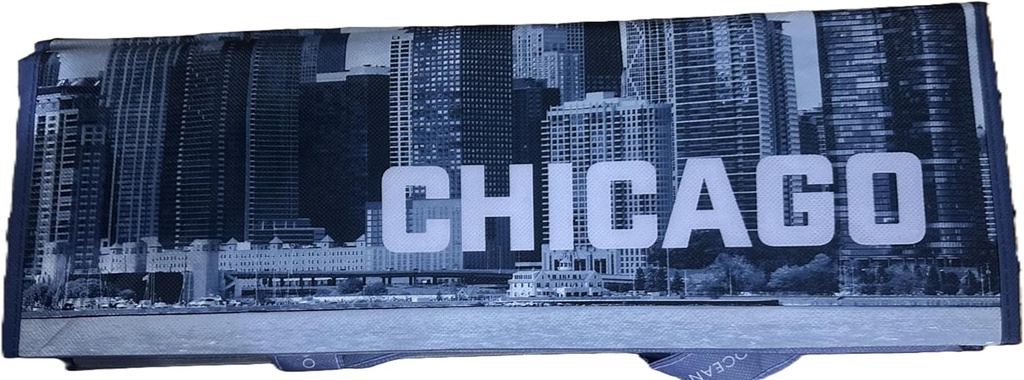 chicago-skyline-printed-reusable-bag-new-2.jpg