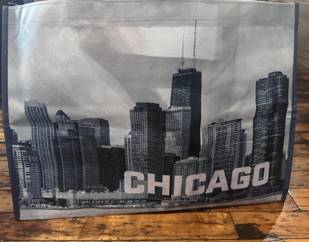 chicago-skyline-printed-reusable-bag-new-5.jpg