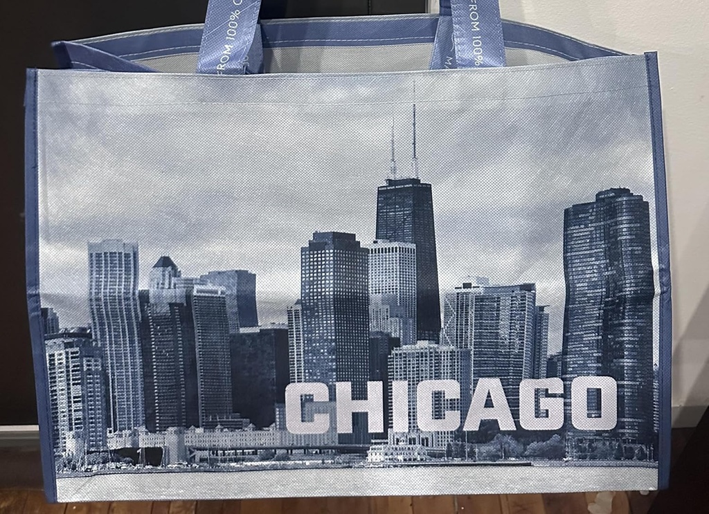 chicago-skyline-printed-reusable-bag-new-6.jpg