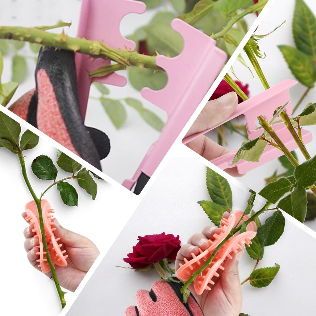 rose-stem-leaf-thorn-stripper-pink-soft--6.jpg