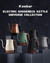 gooseneck-electric-kettle-electric-tea-k-2.jpg
