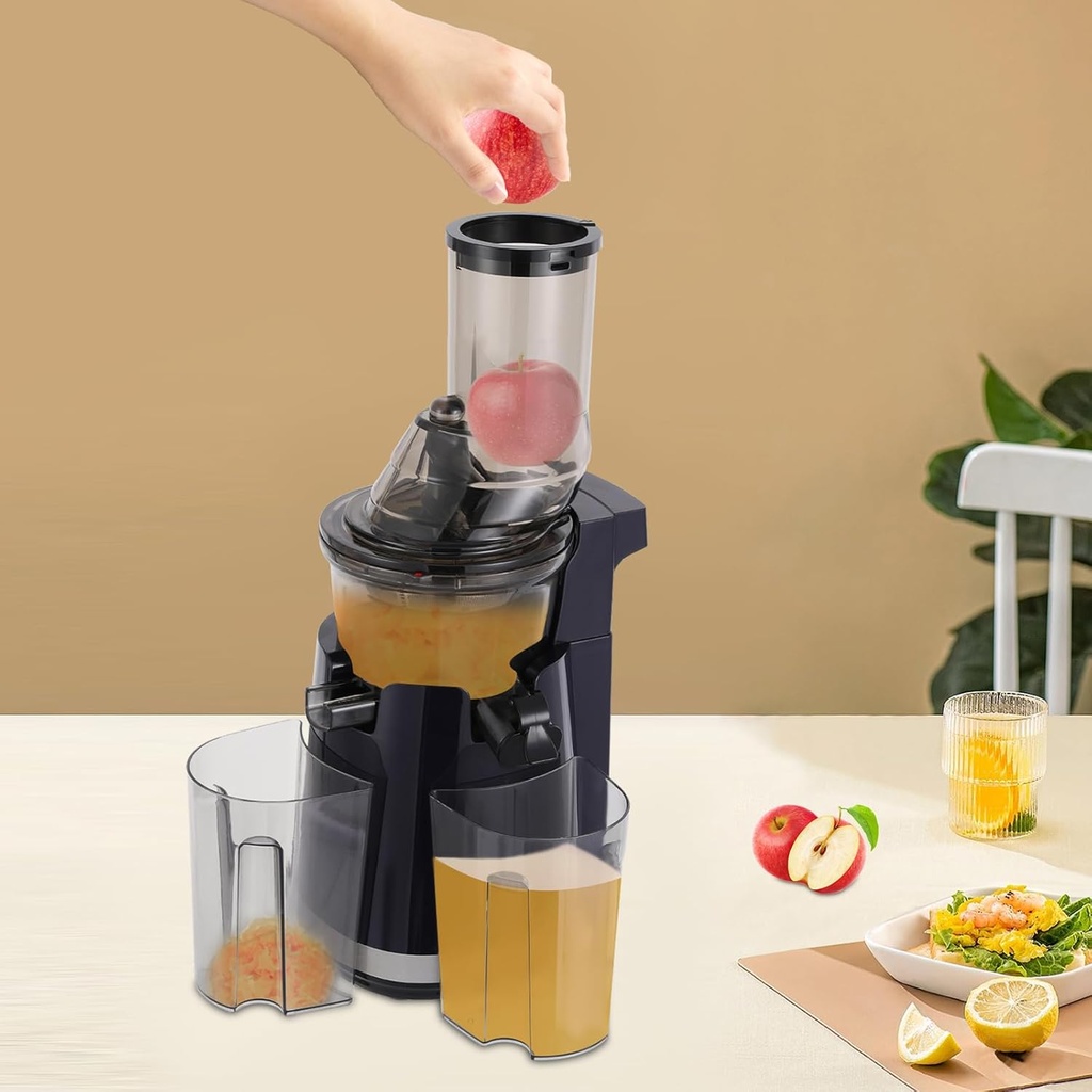 electric-juicer250w-cold-press-juicer-ma-3.jpg