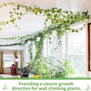 luotivon-72-pcs-plant-climbing-wall-fixt-6.jpg