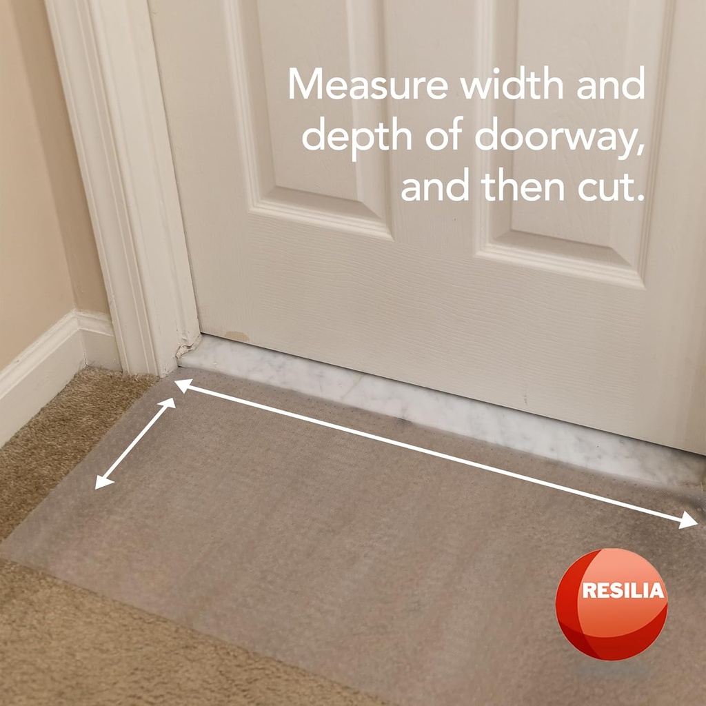 pet-carpet-protector---doorway-damage-de-4.jpg