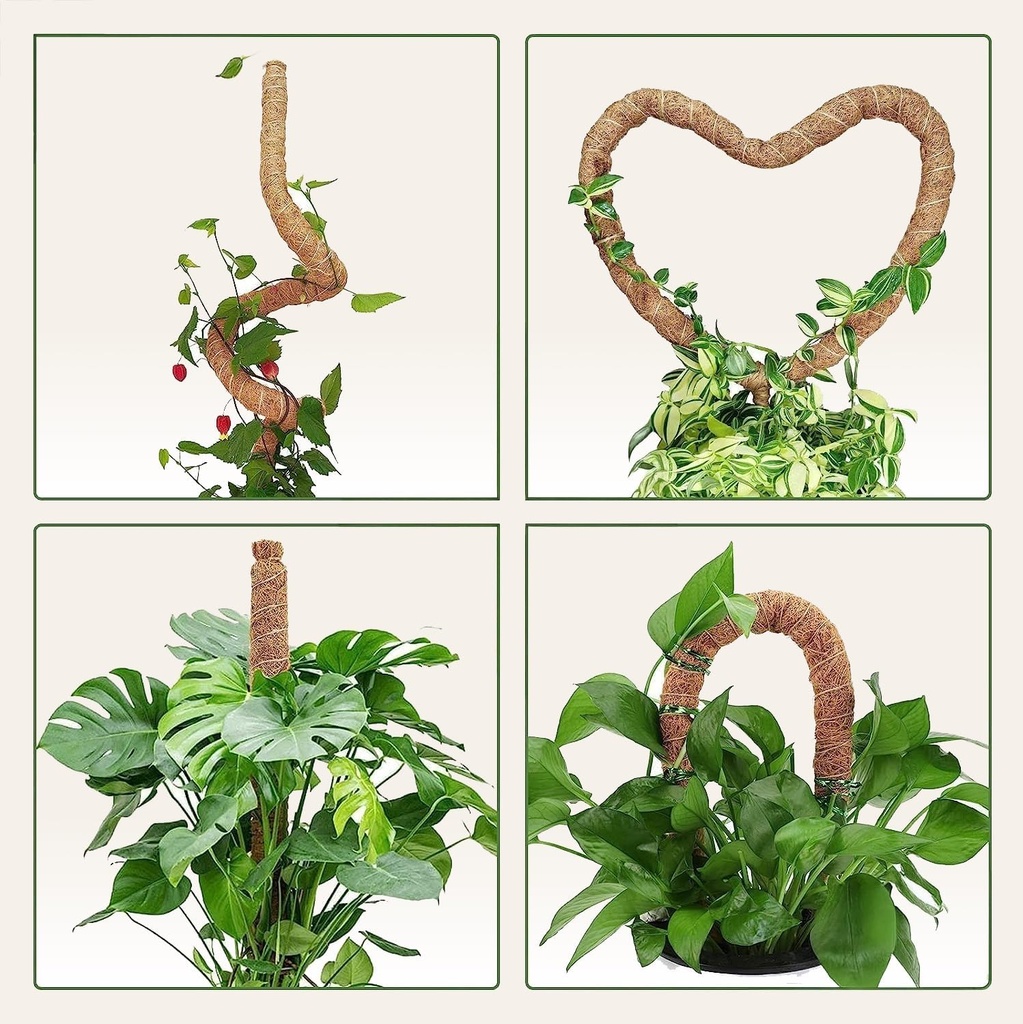 moss-pole-monstera-plant-support-2-pack--3.jpg