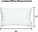 lumbar-throw-pillows-set-of-2-20x-12-all-3.jpg