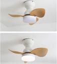 nordic-modern-fan-light-led-simple-livin-5.jpg