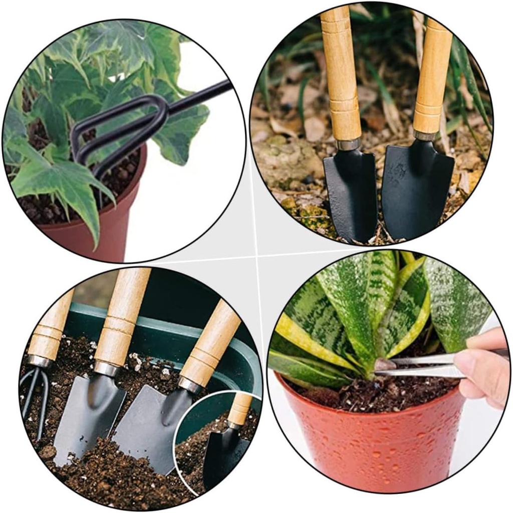 vicasky-10pcs-mini-garden-tool-for-succu-4.jpg