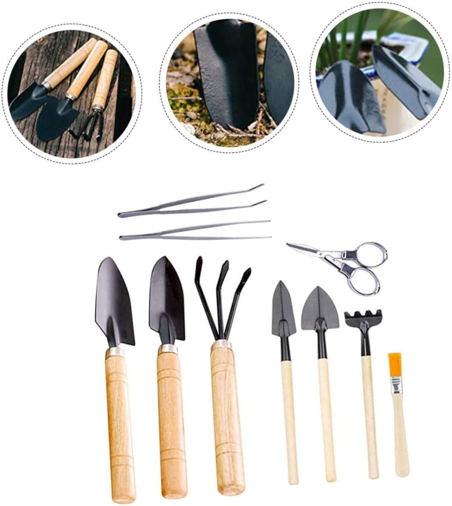 vicasky-10pcs-mini-garden-tool-for-succu-6.jpg