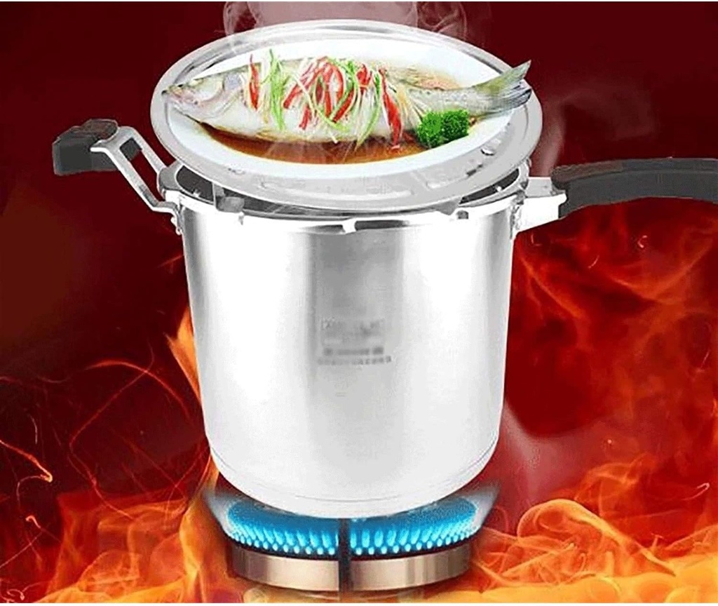 304-stainless-steel-pressure-cooker-t-sh-3.jpg