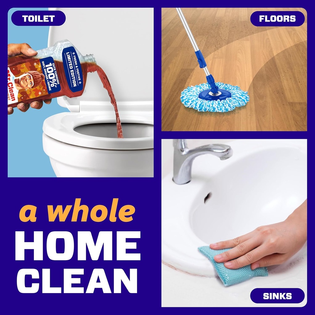 mr-clean-all-purpose-cleaner-cleaning-li-3.jpg