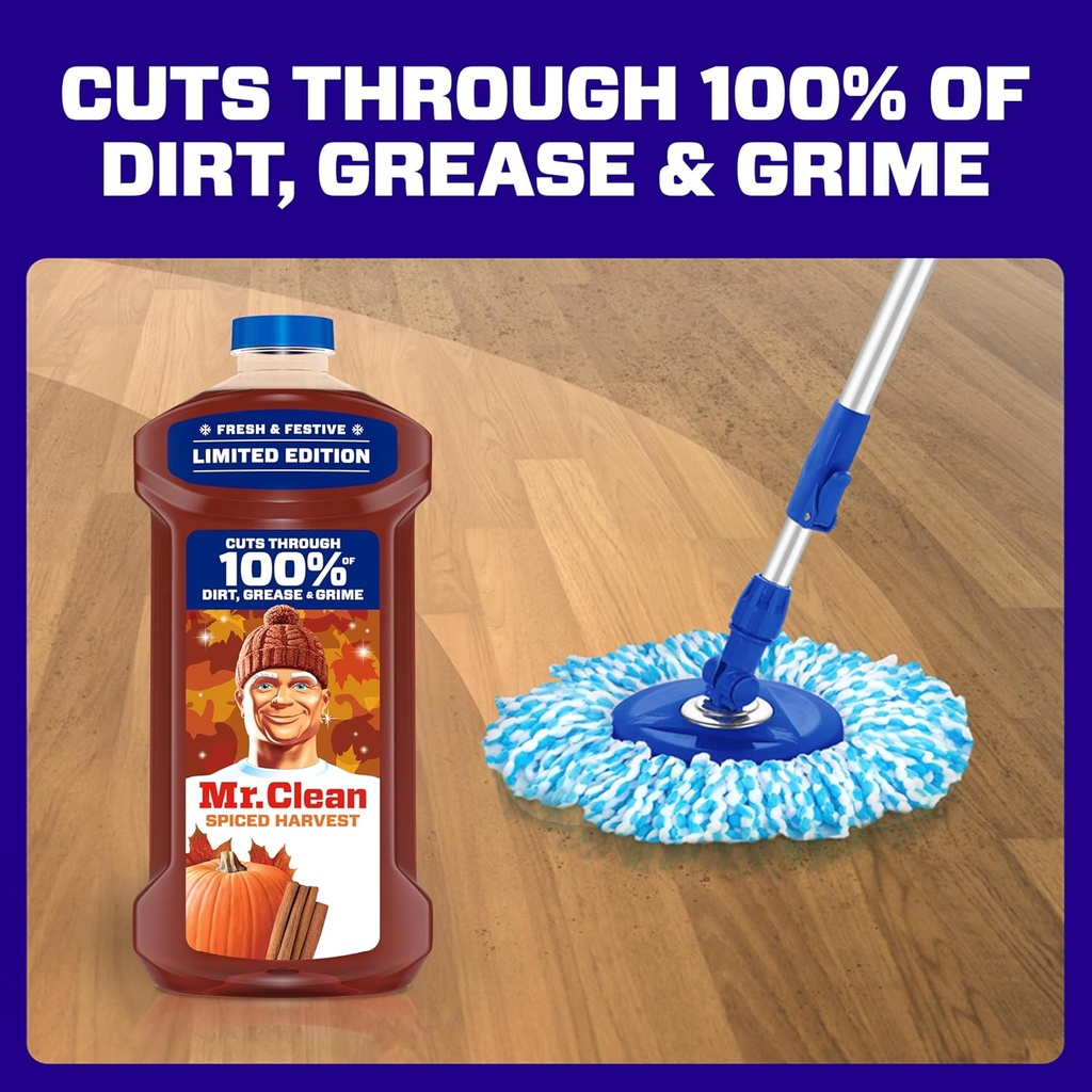 mr-clean-all-purpose-cleaner-cleaning-li-5.jpg