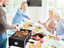 tamarit-raclette-party-grill-portable-in-5.jpg
