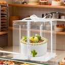 8-pcs-clear-cake-box-with-ribbon-2-layer-6.jpg