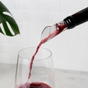 true-aerial-wine-aerator-pourer-spout----4.jpg