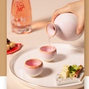 sake-cup-set5-pieces-sake-set-japanese-c-4.jpg