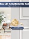 ehomeware-1-pack-entry-door-handles-gold-3.jpg