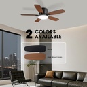 ceiling-fans-with-lights-44-low-profile--2.jpg