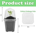 ebaokuup-10pcs-clear-plant-nursery-pots--2.jpg