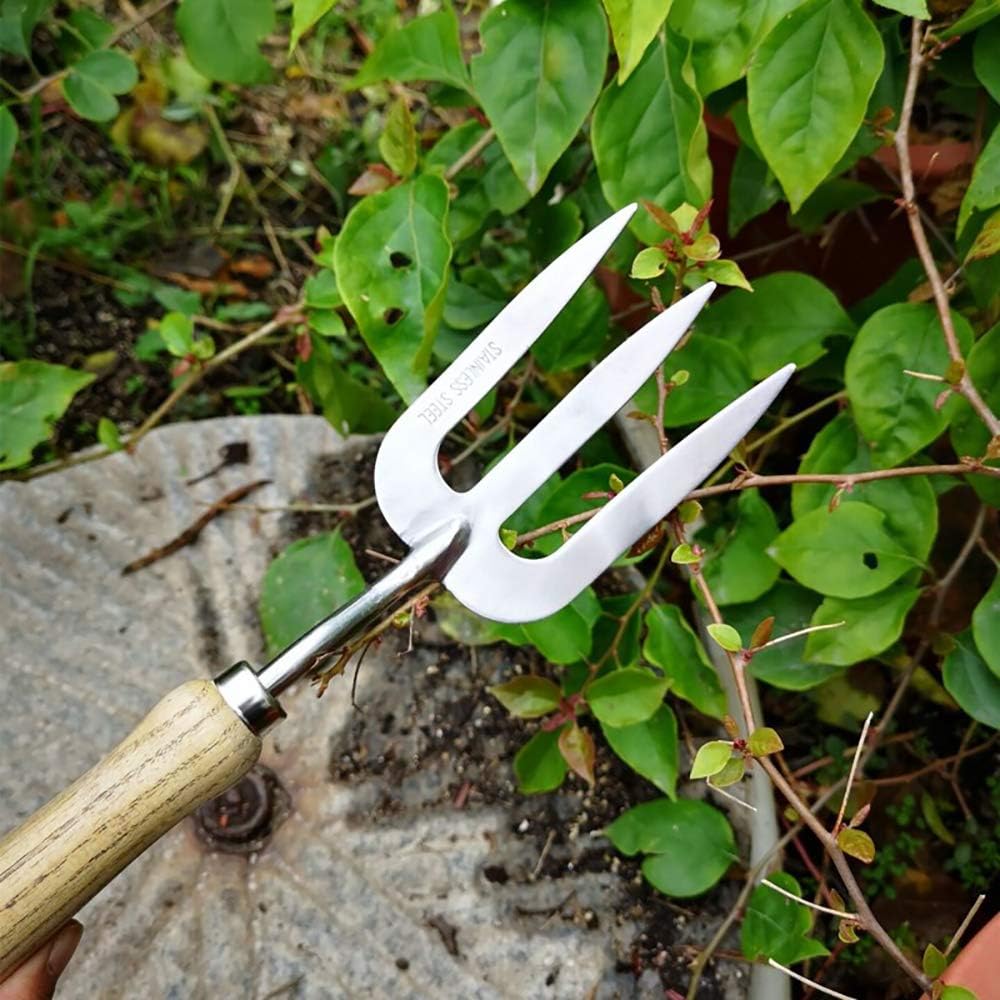 stainless-steel-hand-fork-with-ergonomic-5.jpg
