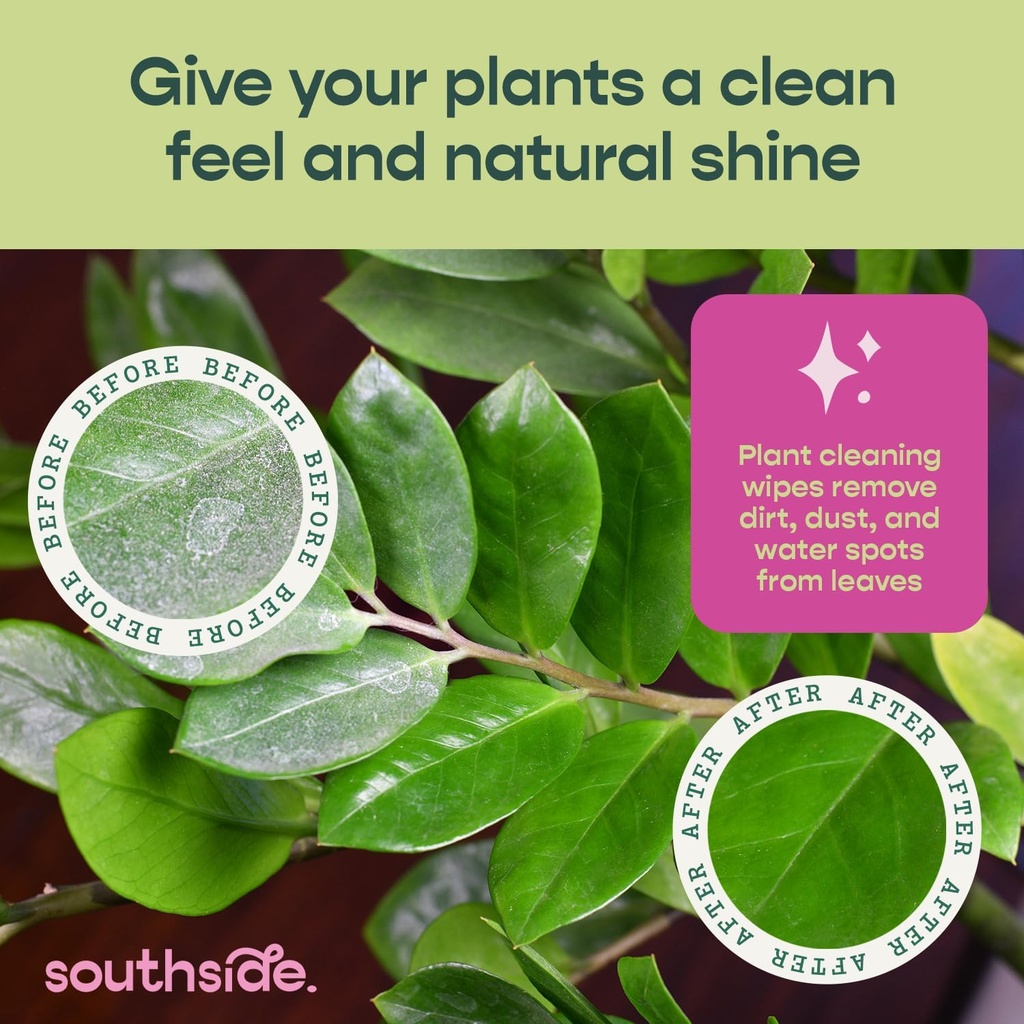plant-cleaning-wipes-by-southside-plants-2.jpg