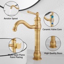 ggstudy-360-swivel-antique-brass-bathroo-5.jpg