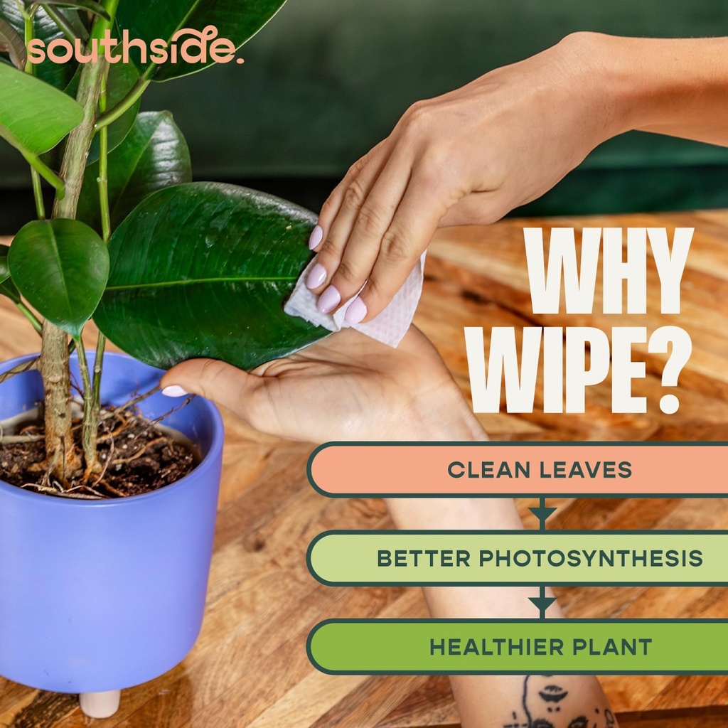 plant-cleaning-wipes-by-southside-plants-3.jpg