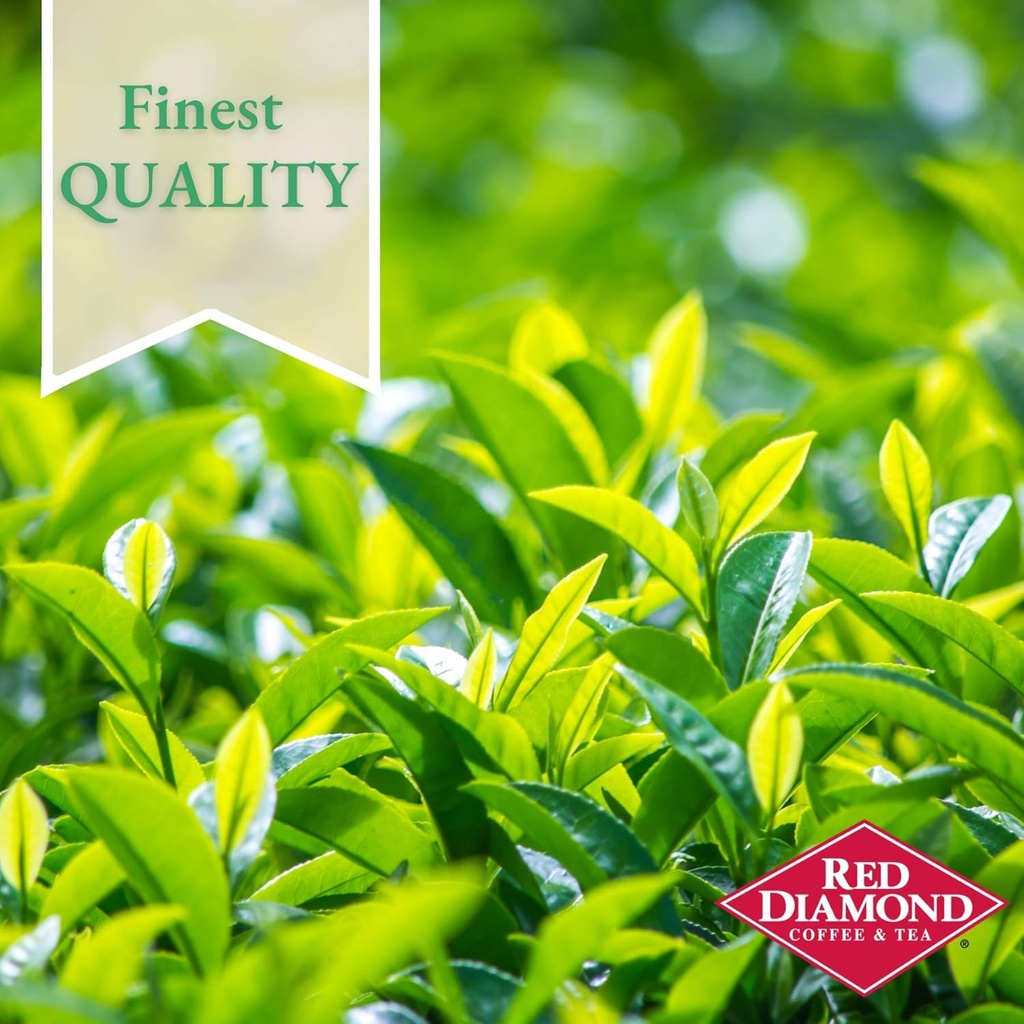 red-diamond-green-tea-bags-single-servin-2.jpg
