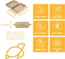 100-compostable-disposable-food-containe-2.jpg