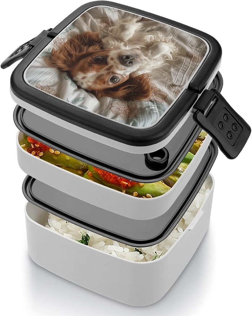 brown-and-white-dog-bento-box-adult-lunc-4.jpg