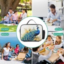 insulated-lunch-bags-for-women-peacock-w-5.jpg