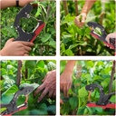 plant-tying-machineplant-vine-tying-mach-6.jpg