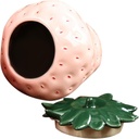 sosoport-ceramic-strawberry-shaped-tea-j-5.jpg