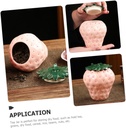 sosoport-ceramic-strawberry-shaped-tea-j-6.jpg