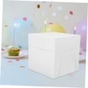 birthday-cake-box-with-cake-board-for-we-5.jpg