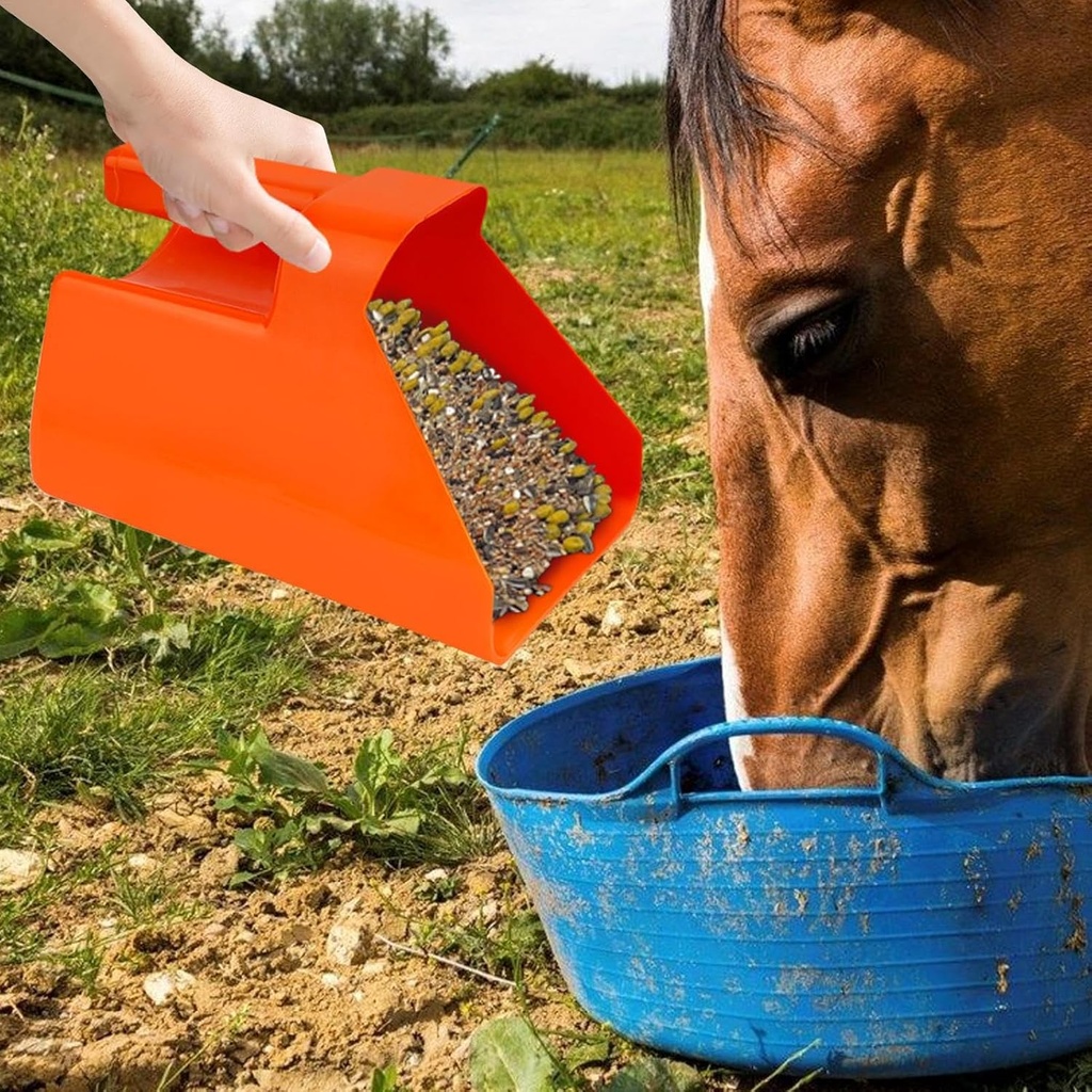 horse-feed-shovel-transfer-shovel-food-s-6.jpg