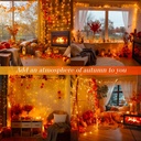 jmexsuss-connectable-33ft-orange-christm-4.jpg