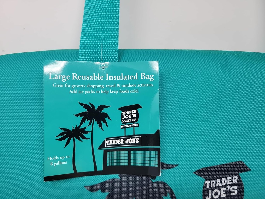 trader-joes-teal-insulated-tote-bag-extr-4.jpg